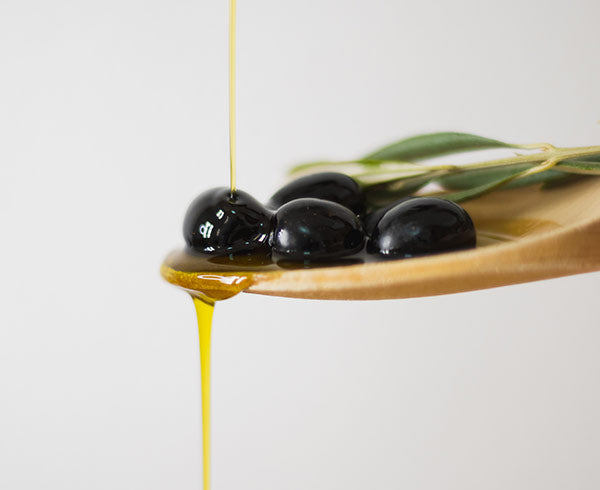 Diferencia entre aceituna y oliva