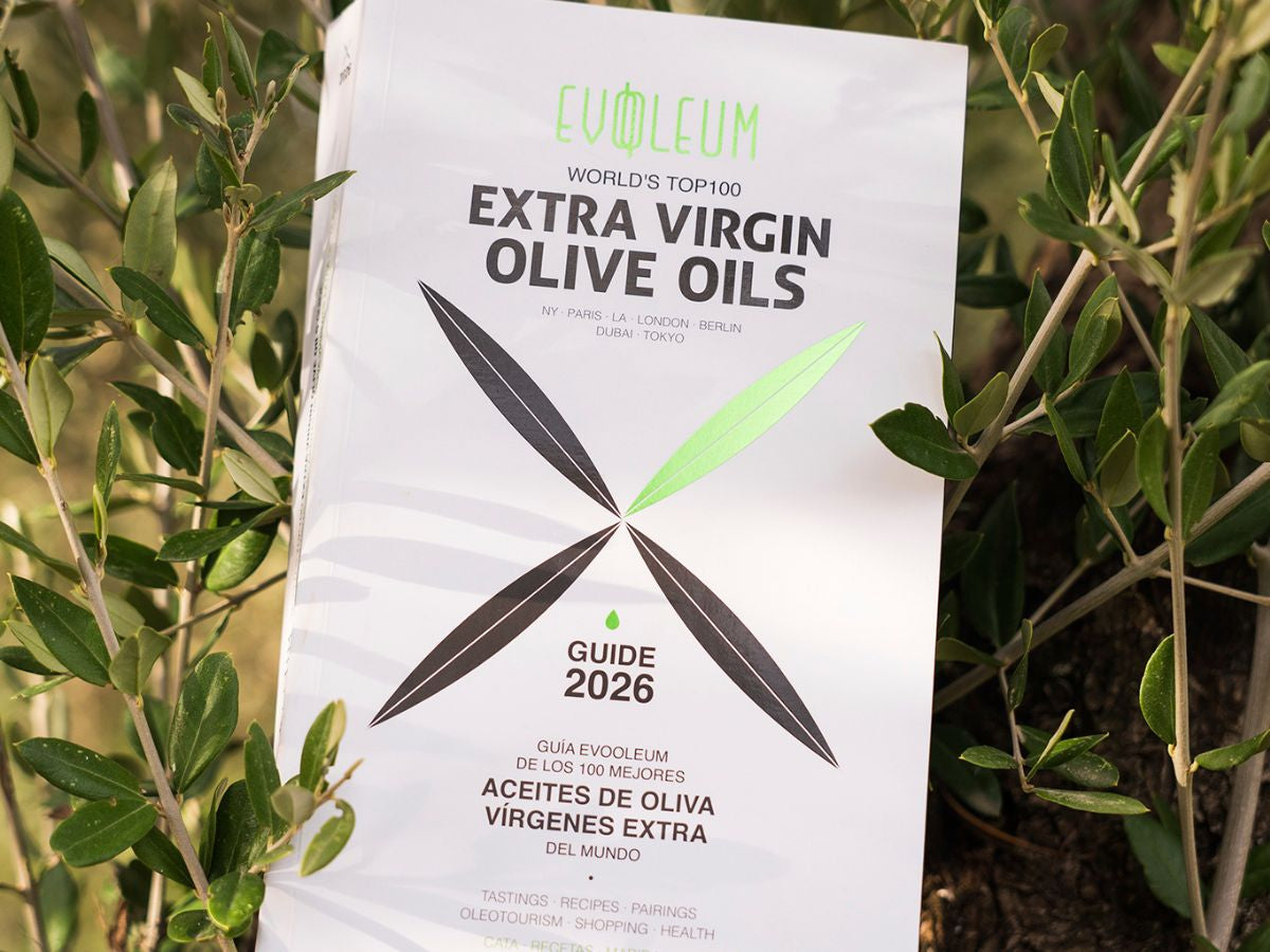 Mejores Aceites de Oliva Virgen Extra 2025-2026