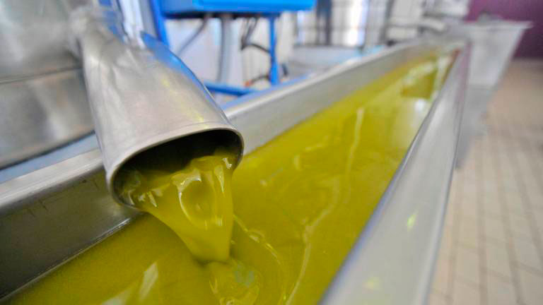 Aceite de Oliva Sin Filtrar