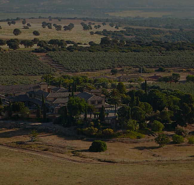 Casas de Hualdo