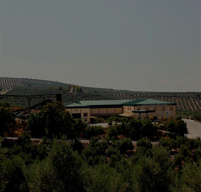 Oro de Cánava