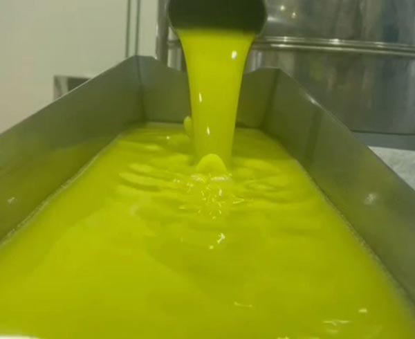 aceite de oliva virgen extra de primera prensada