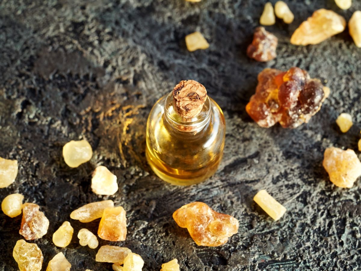 Aceite Acalórico: Qué Es Y Usos Comunes