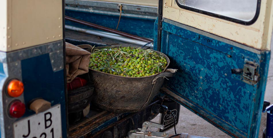 aceite de oliva verde puro