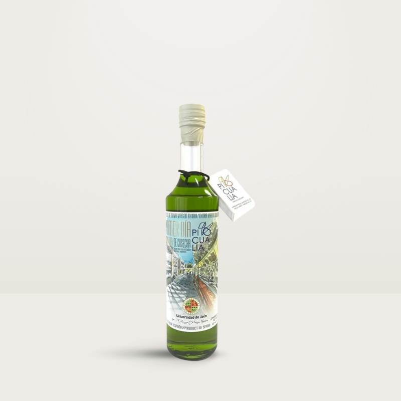 aceite Picualia Primer Día de Cosecha