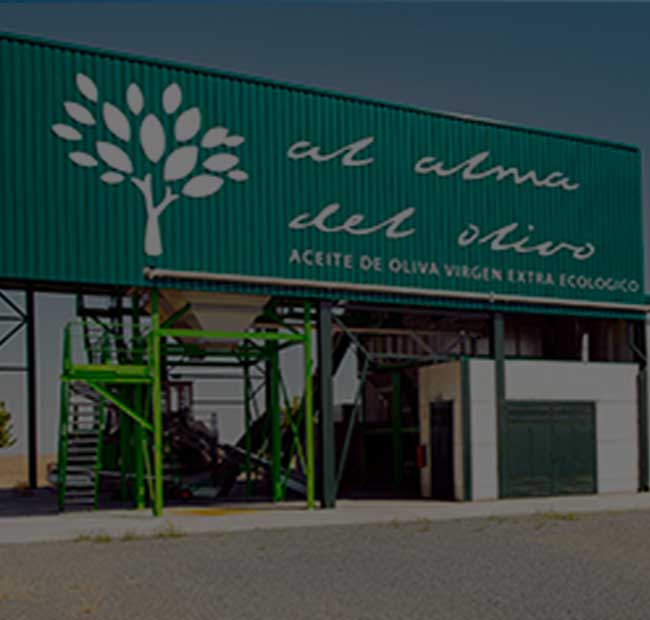 Al Alma del Olivo
