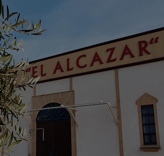 Olibaeza