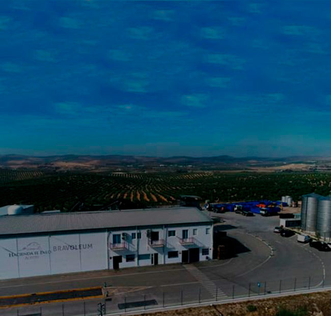 Hacienda el Palo