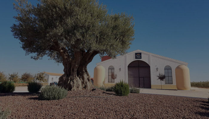 Palacio de los Olivos